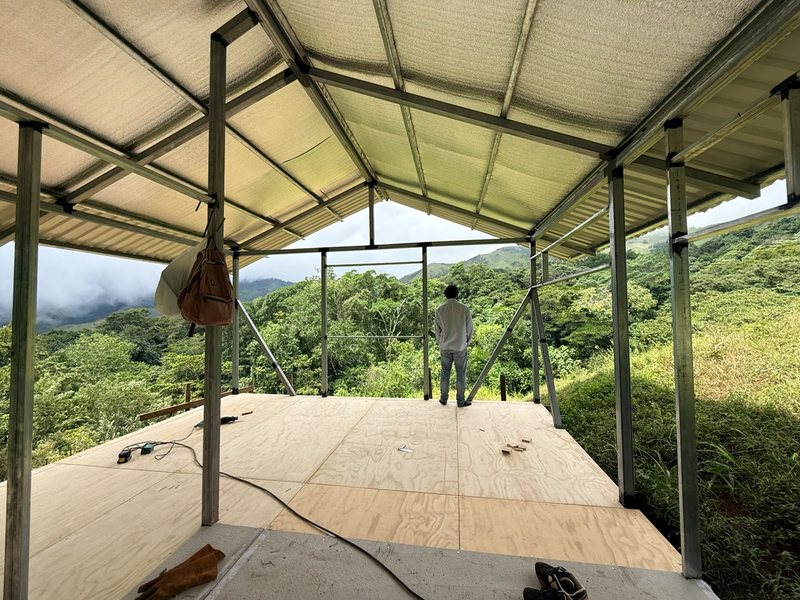 Estructura de la cabaña en construcción mirando hacia el bosque.