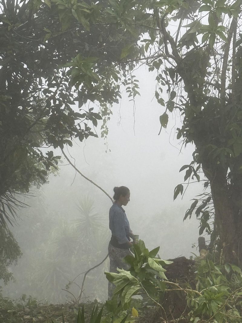 A person among the quinta’s vegetation on a misty morning.